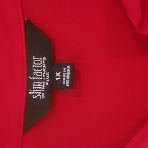 Button Down Tunic - Picture 3 of 3